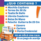 PAQ CAPI